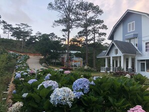 Utsikt fra overnattingsstedet