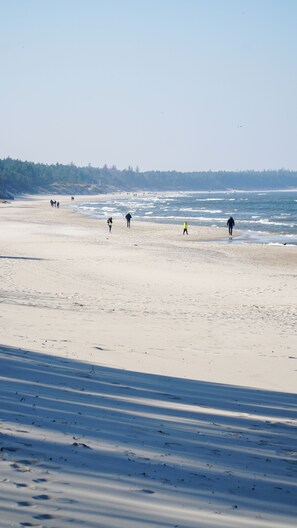 Ein Strand mit Menschen, die am Ufer entlanggehen, einem klaren Himmel und einer bewaldeten Gegend im Hintergrund.
