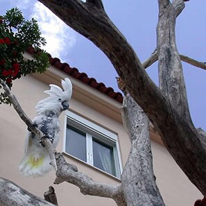 Exterior - Tersanas Beach Lodges (Chania)