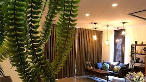 Una sala de estar moderna con un sofá, una mesa de centro y plantas colgantes.