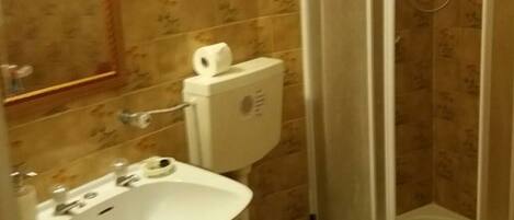 A bathroom with a sink, toilet, and shower.