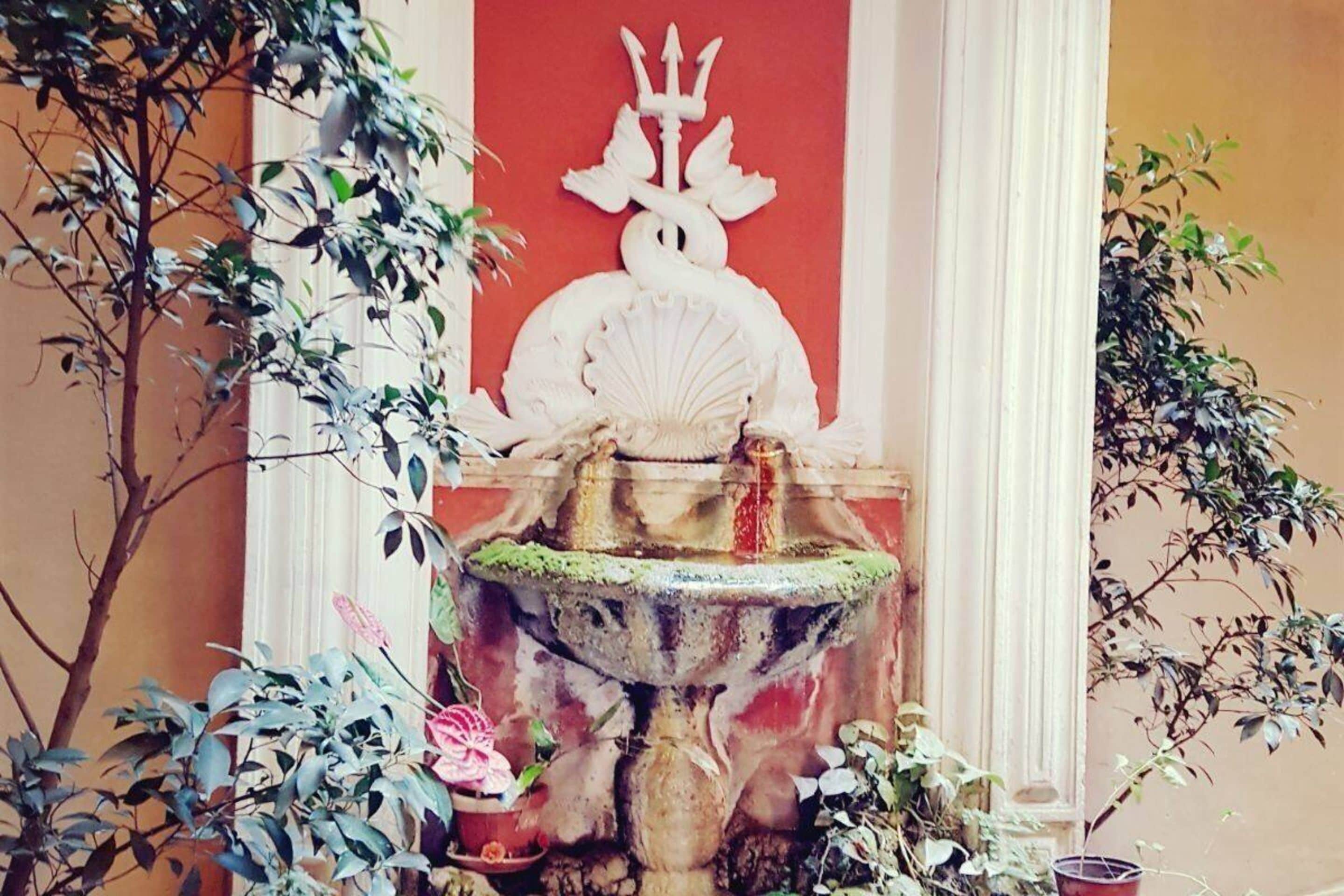 Foto - Piccola Navona Roof Garden