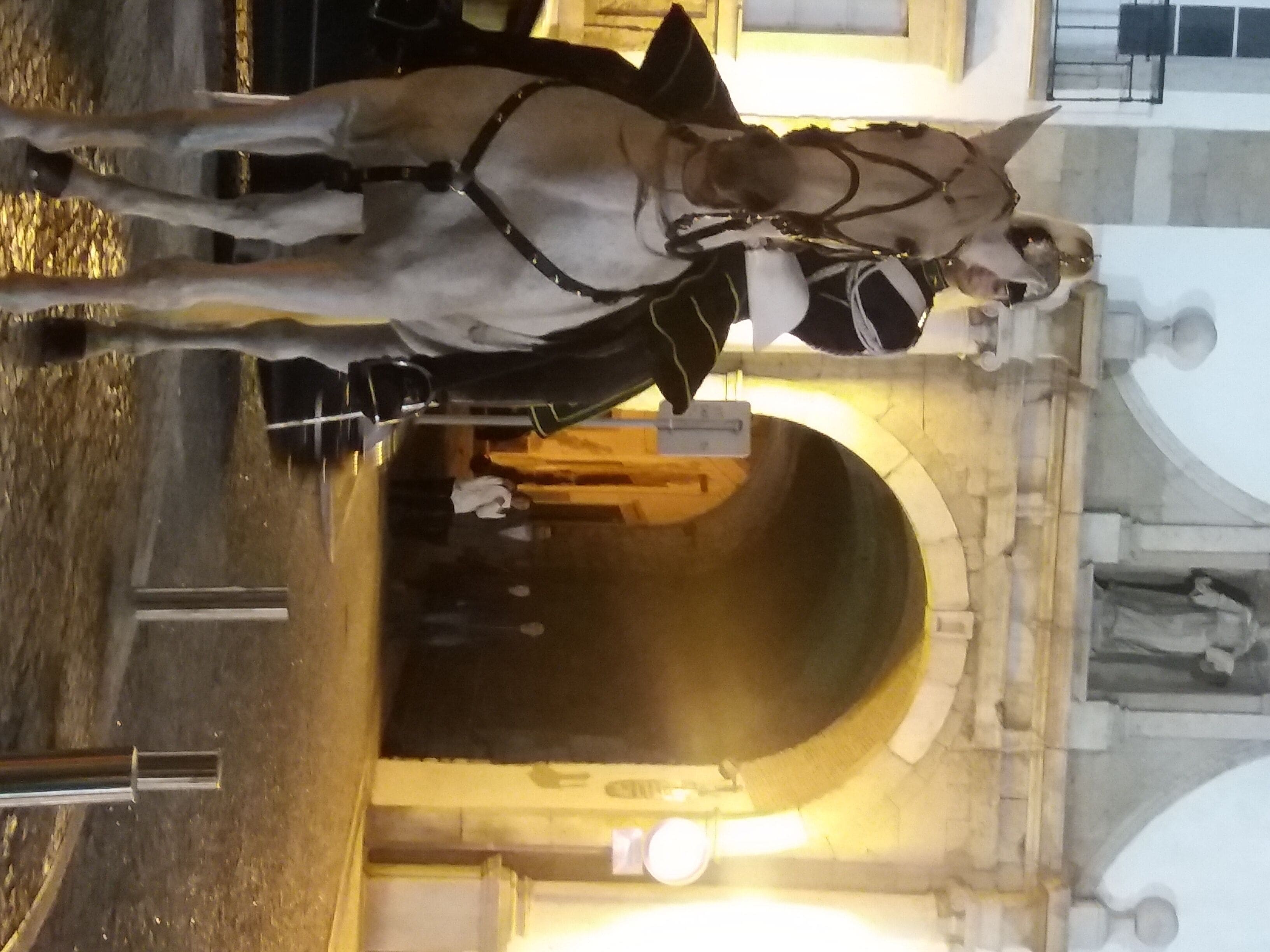 Photo - Guest House Capitao Mor