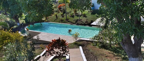 Outdoor pool, pool umbrellas, sun loungers