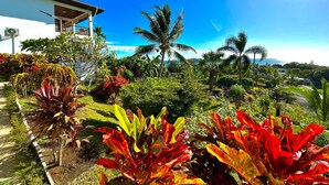 Un exuberante jardín con plantas tropicales y un edificio blanco de techo inclinado.