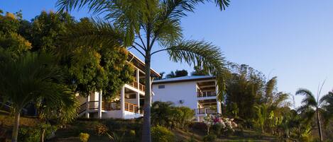 A two-story house with a balcony, surrounded by lush greenery and palm trees.