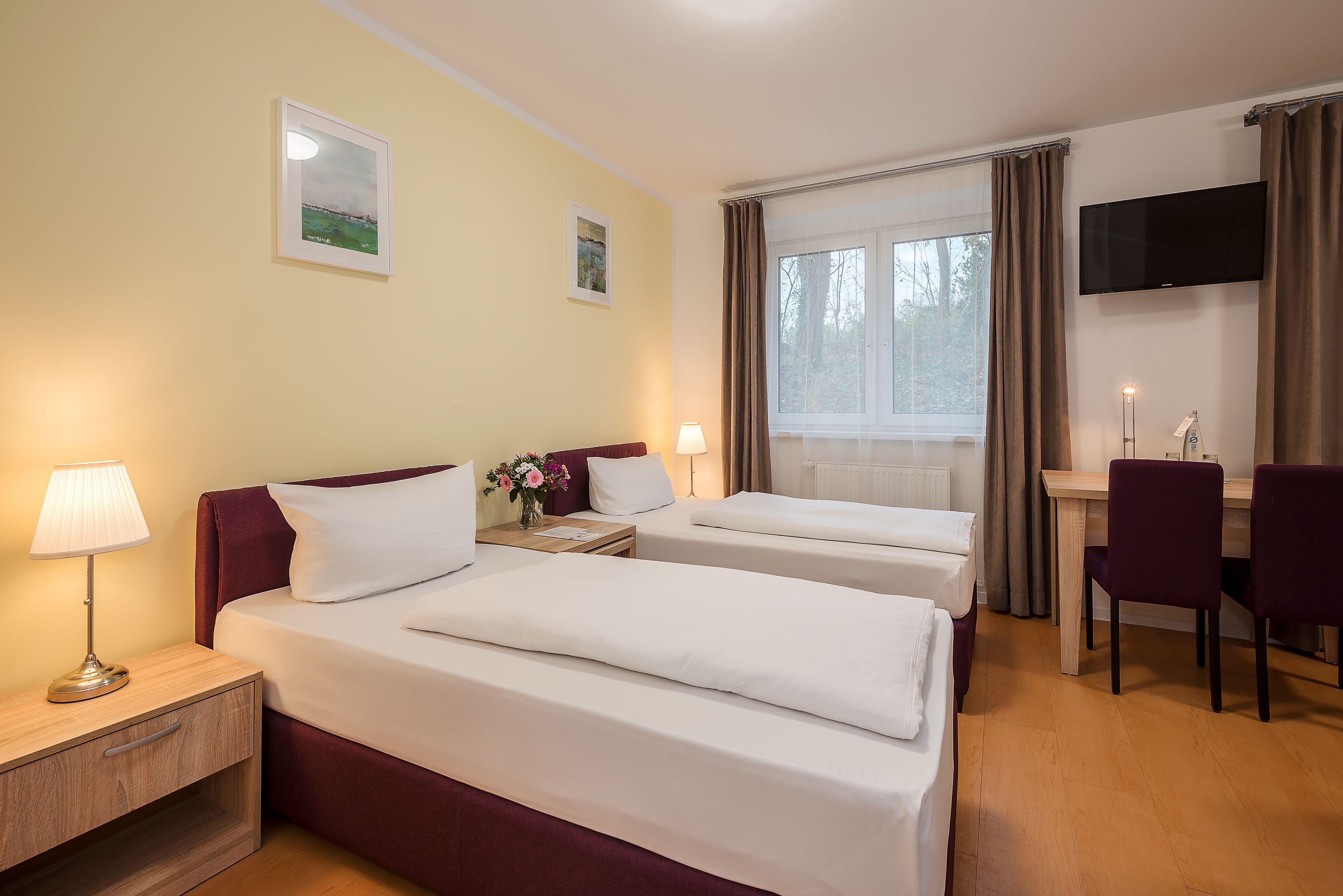 standard double room (2) | desk, soundproofing, iron/ironing board, free wifi