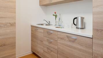 Standard Double Room (2) | Desk, soundproofing, iron/ironing board, free WiFi