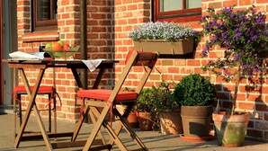 A wooden table with a bowl of fruit and a glass of water, two red cushioned chairs, and several potted plants against a brick wall. - B&B Laurus (Ypres)