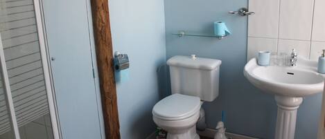 A bathroom with a toilet, sink, and a glass shelf with a roll of toilet paper.