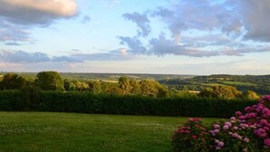 A landscape with a grassy field, a hedge, and a bush of pink flowers. - Maison D'hôtes La Bihorée (Saint-Jean-de-Livet)