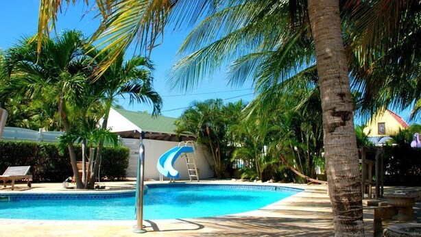 A swimming pool with a slide, surrounded by palm trees and a tiled deck. - Paradera Paradise (Paradera)