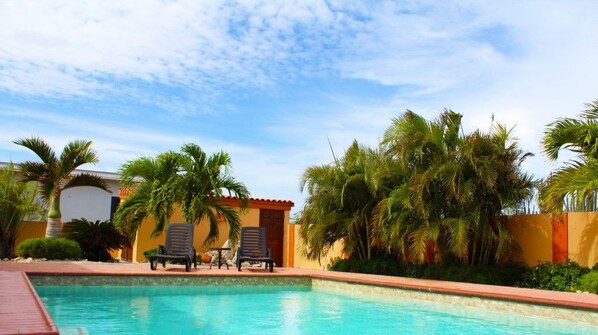 A swimming pool with lounge chairs and palm trees.