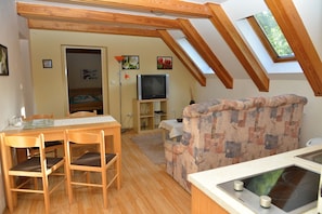 Apartment, 1 Bedroom, Kitchen | Living area | TV - Penzion a restaurace Pintovka (Tabor)
