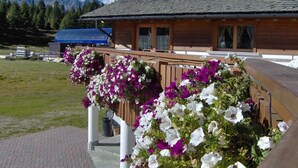 A wooden building with a sloped roof, surrounded by a garden with white and purple flowers. - Bucaneve (Campodolcino)