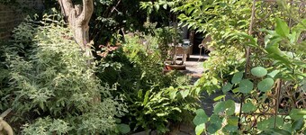 B&B Camera et Caetera