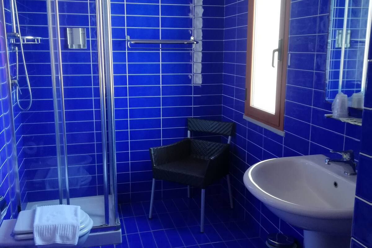 shower, free toiletries, hair dryer, towels