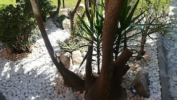 Jardín