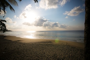 Beach nearby, white sand