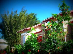 A two-story house with a red roof and brick walls, surrounded by lush greenery and trees. - Recanto dos Bambus (Florianópolis)