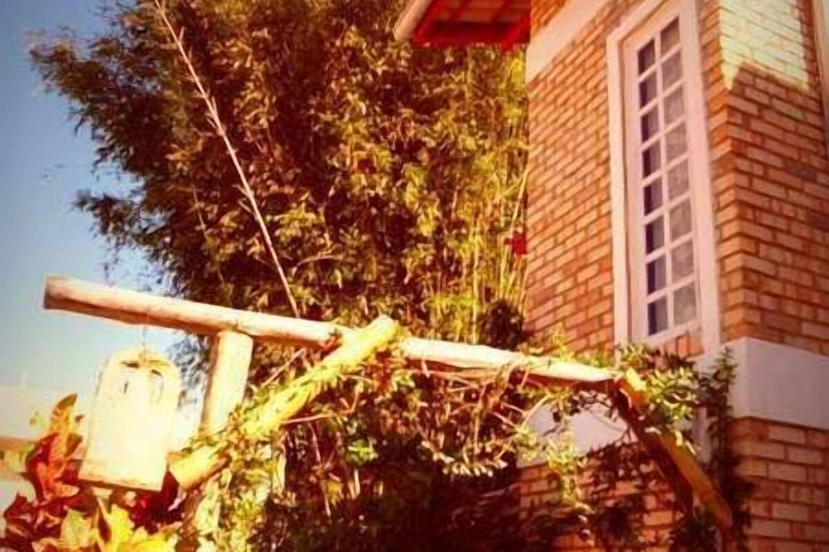 Un bâtiment en briques doté d’une fenêtre et d’une structure en bois recouverte de lierre.