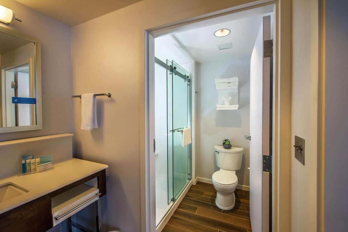 studio, 1 king bed with sofa bed (microwave, shower) | bathroom shower