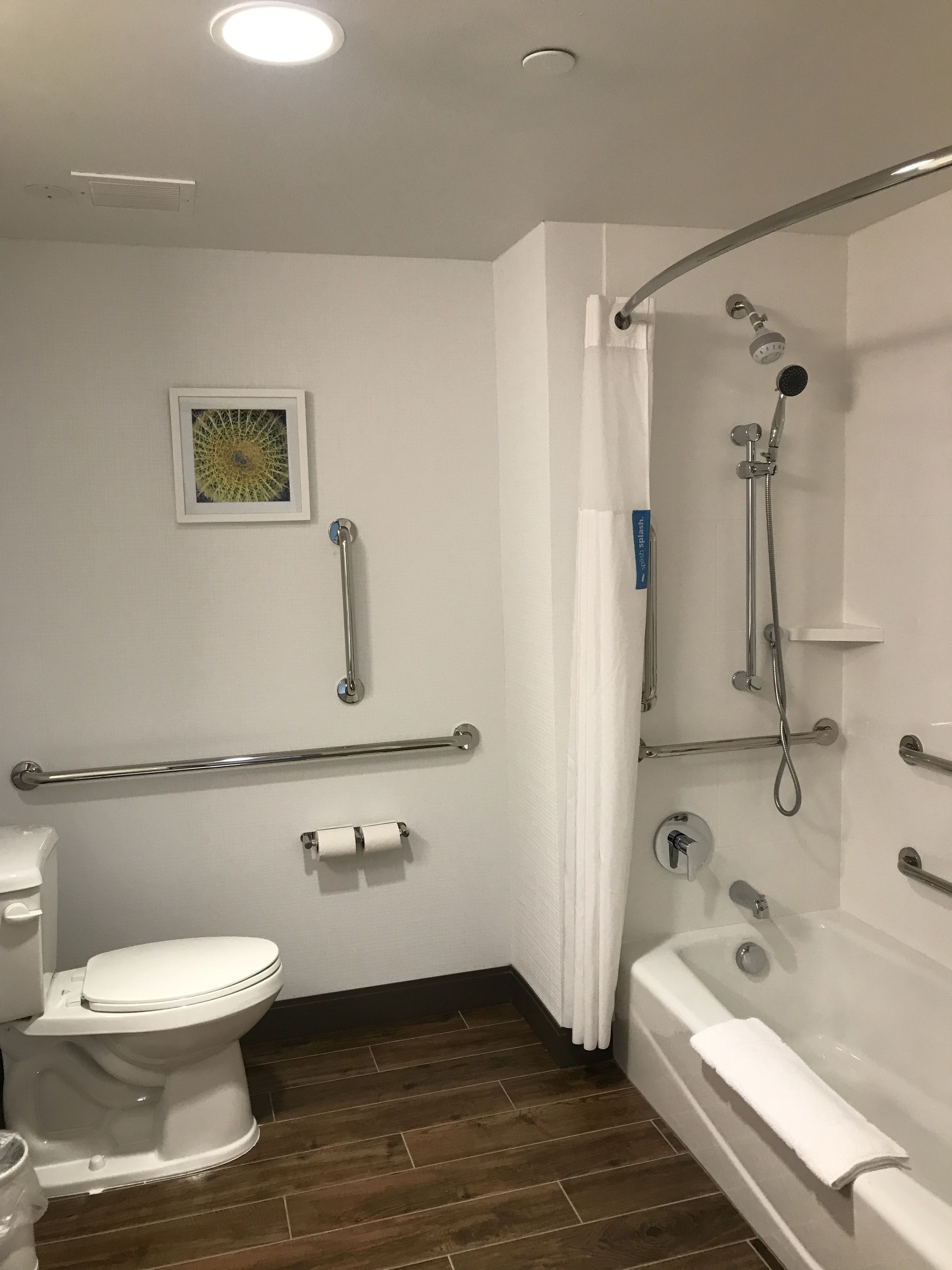 A bathroom with a toilet, a shower with a handheld showerhead, a grab bar, a roll of toilet paper, and a framed picture on the wall.