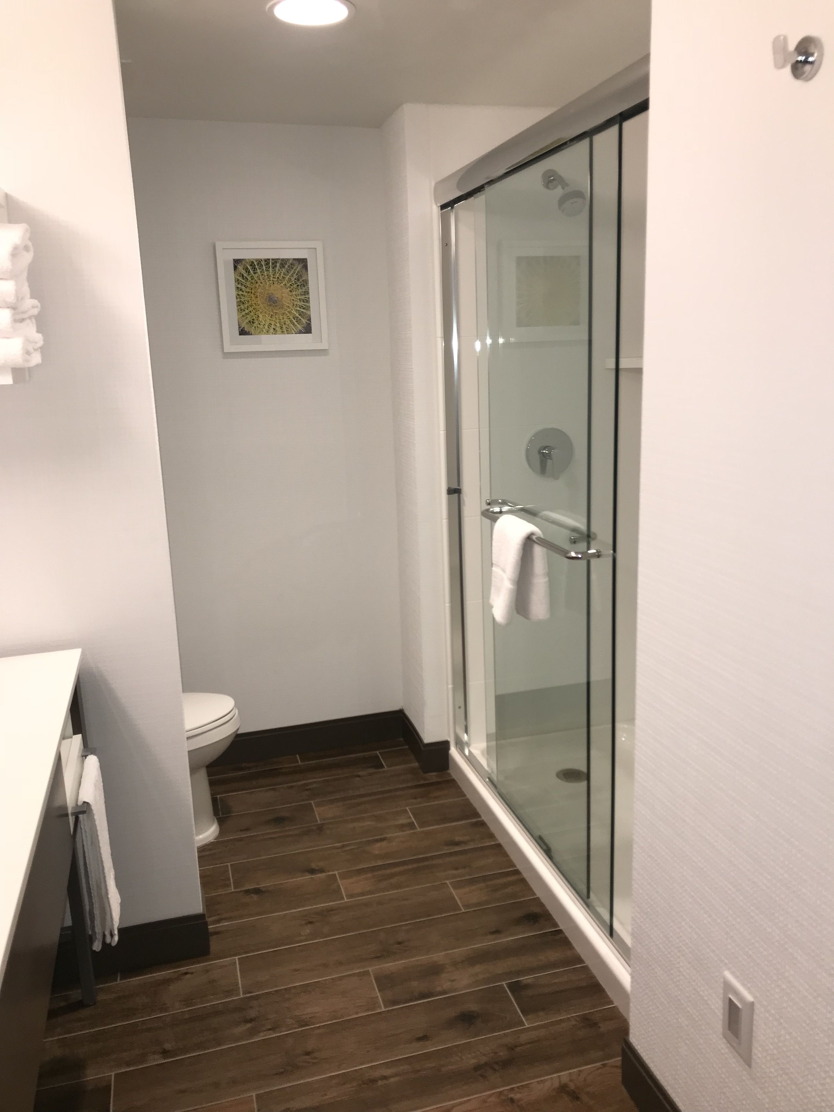 Une salle de bain moderne avec une douche à parois de verre, des toilettes et un plancher en bois.