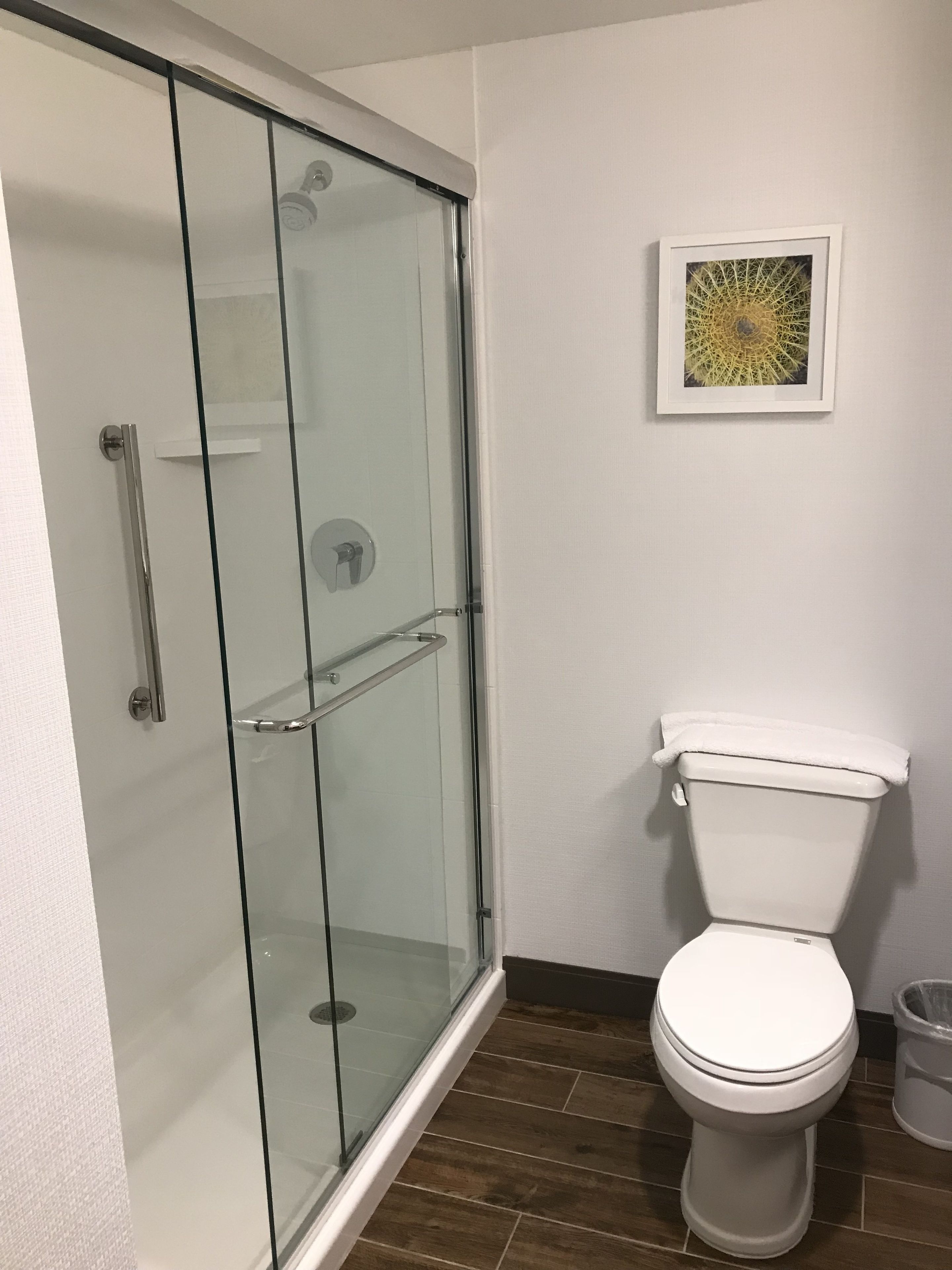 Ein Badezimmer mit Duschkabine aus Glas, Toilette und einem gerahmten Kunstwerk an der Wand.