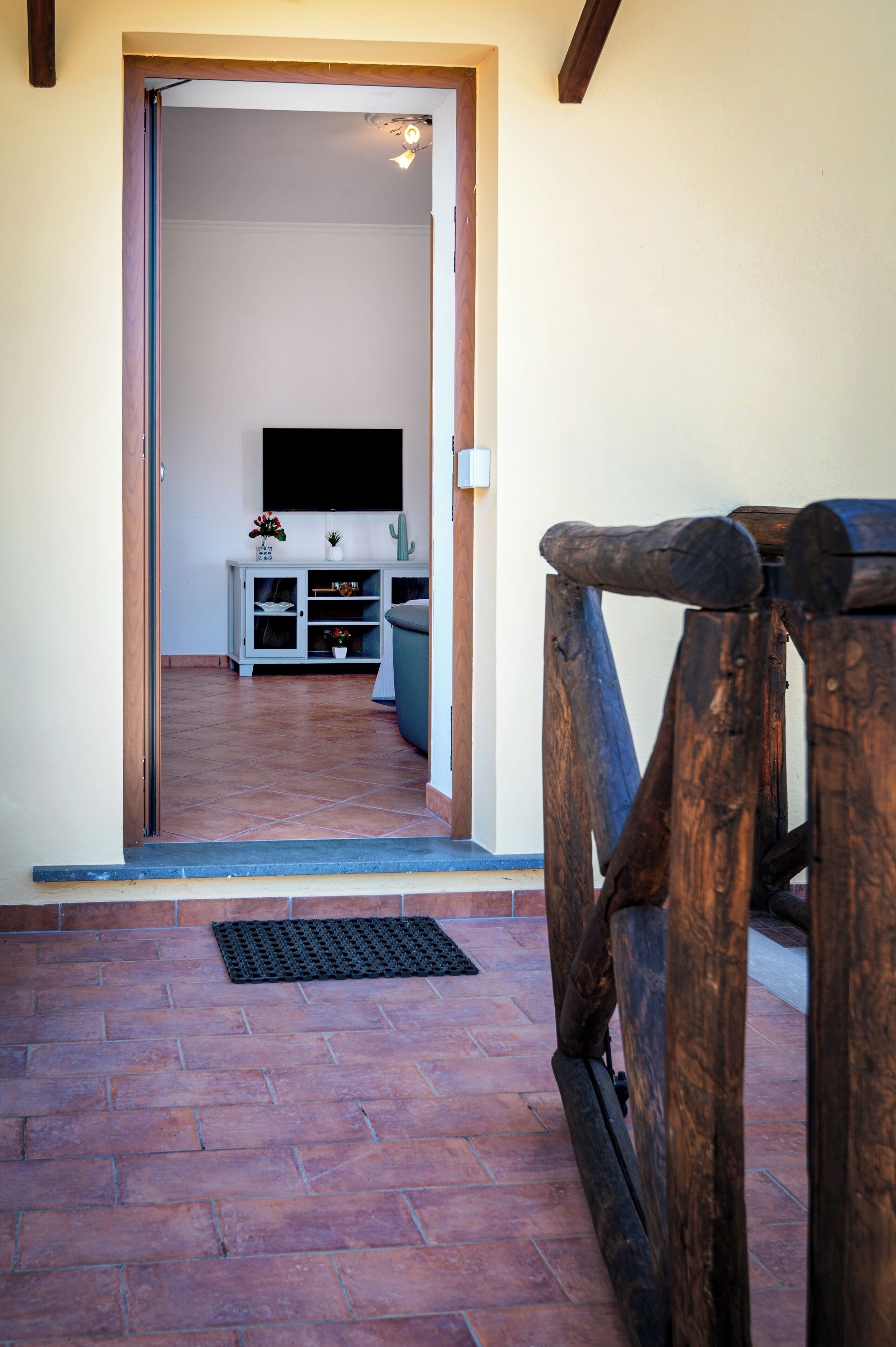 Ein Durchgang zu einem Raum mit Fernseher, Schrank und Sukkulente.