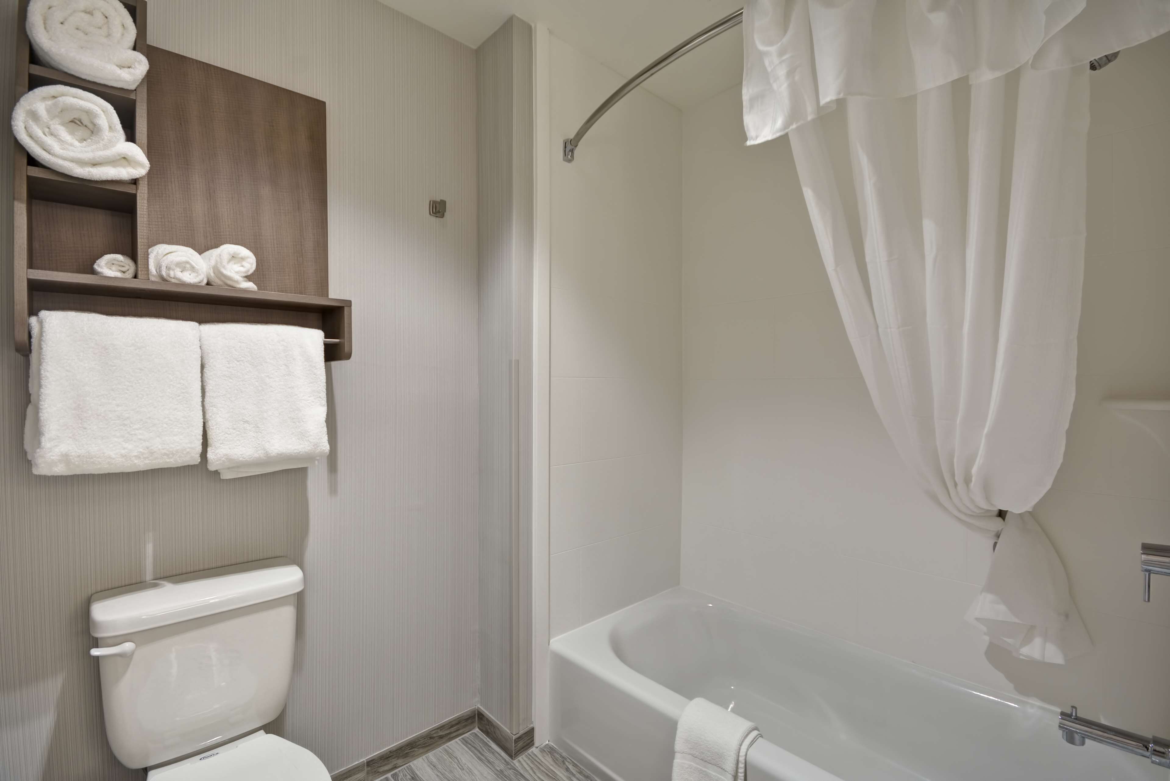A modern bathroom with a toilet, a bathtub, and a shower curtain.