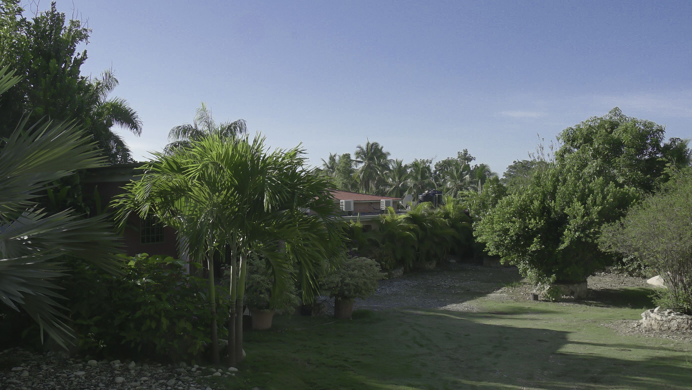 Una zona residencial con una casa rodeada de abundante vegetación, incluyendo palmeras y diversos arbustos.