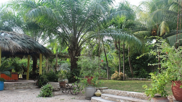 A tropical garden with palm trees, a thatched-roof structure, and stone steps leading to a seating area. - Le Jardin Hotel Restaurant (Jacmel)