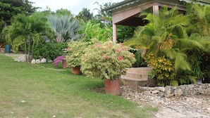 A garden with various plants and a small gazebo. - Le Jardin Hotel Restaurant (Jacmel)