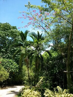Jardín