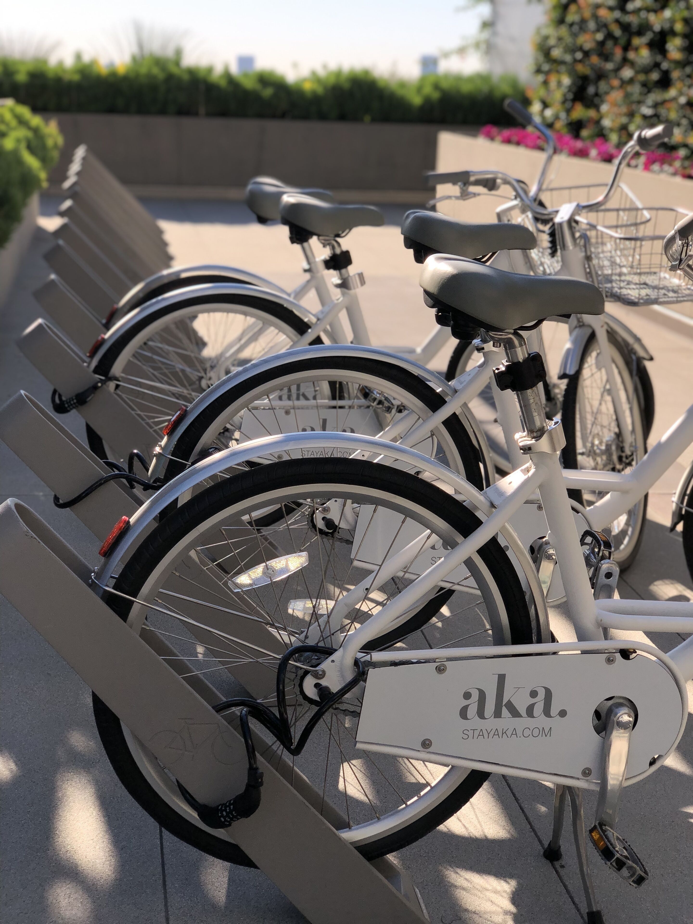 Une rangée de vélos blancs est garée dans un espace spécialement aménagé pour les vélos.