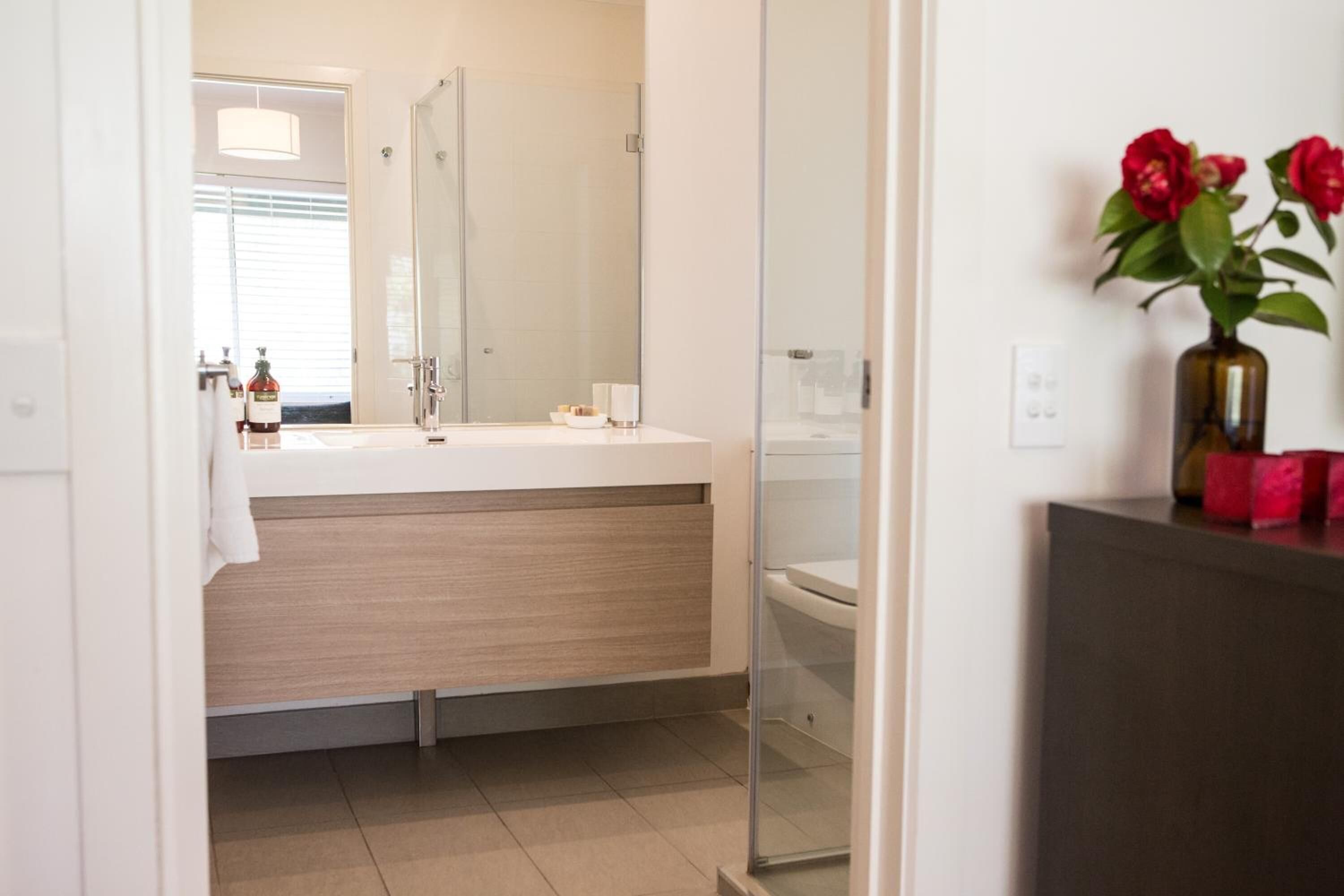 shower, free toiletries, hair dryer, towels