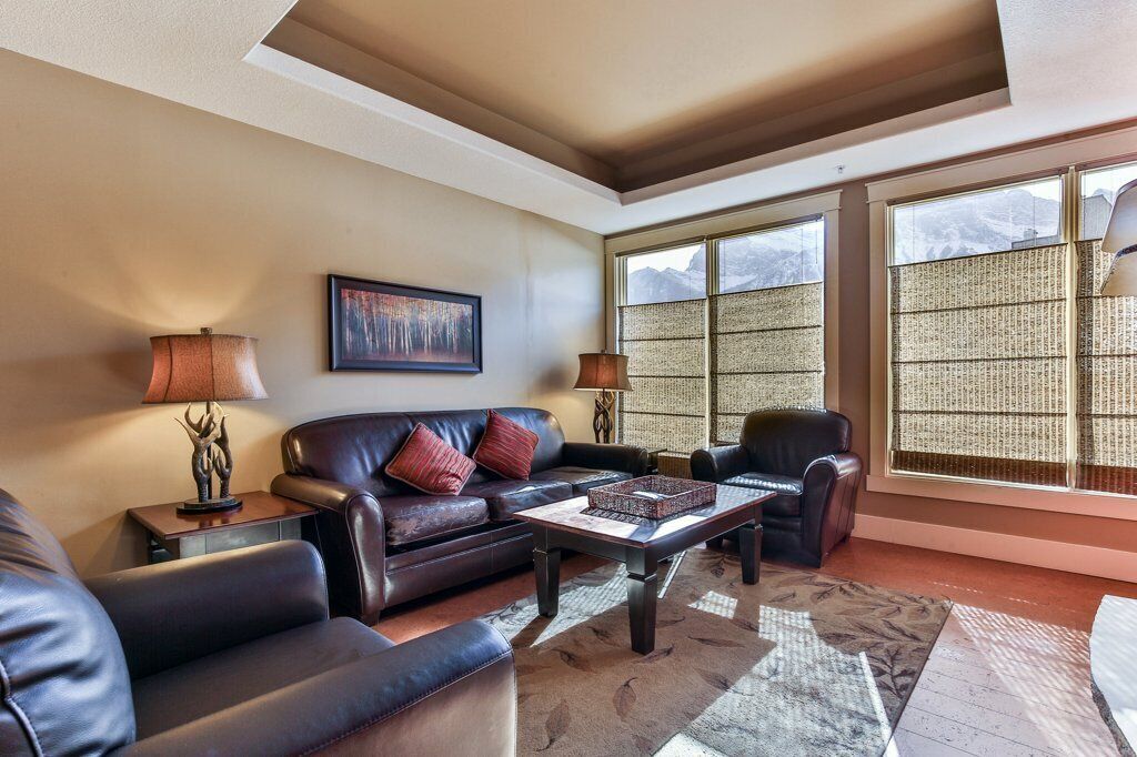 Televisión, chimenea y libros 