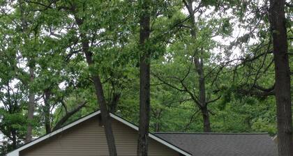 3 Bedroom/ 1 Bath Houghton Lake Getaway