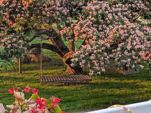 Rauhallinen koti Amishin maassa