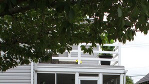A house with a covered porch, a small garden with various plants and a pathway leading to the door. - The Rustic Old Farmhouse Peaceful home in Amish country,10 min from tourist area (Gap)