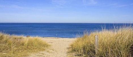 Perto da praia, espreguiçadeiras 