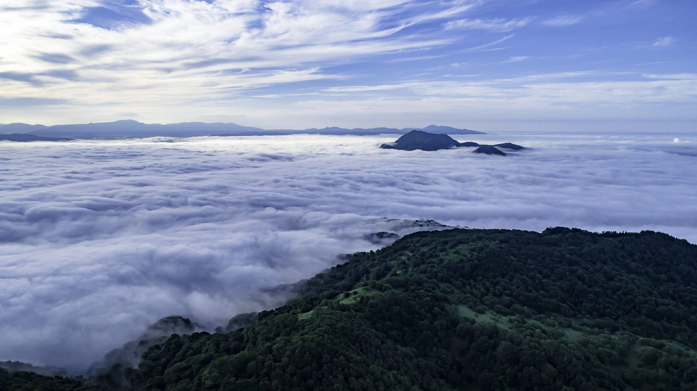 A mountainous landscape with a forested area and a view of islands in the distance.