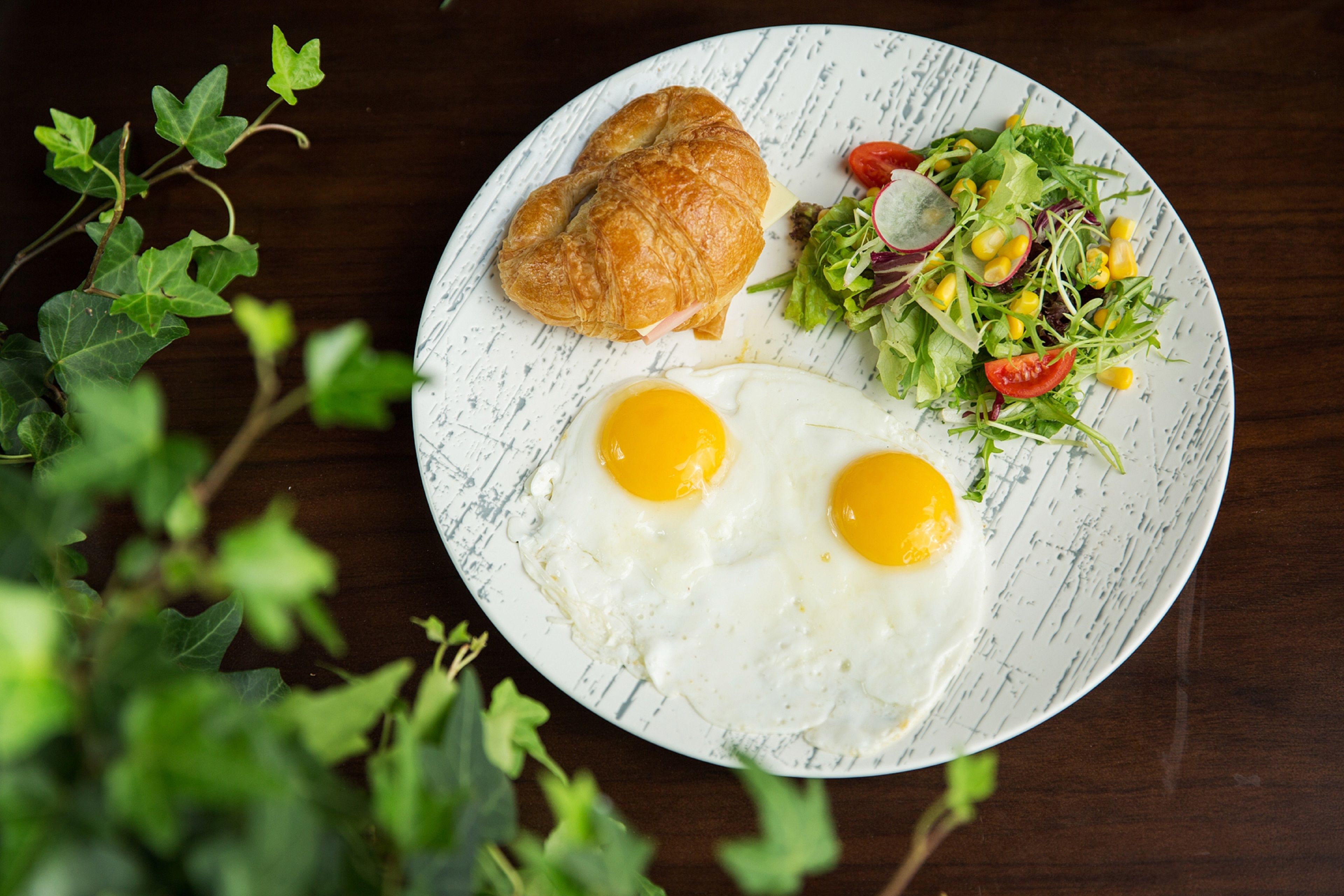 breakfast, lunch and dinner served