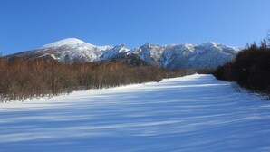 A snow-covered landscape with a mountain in the background. - Yakehashiri Cabin Village (Hachimantai)