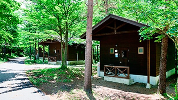 A row of wooden cabins with a dirt path leading to them, surrounded by trees. - Yakehashiri Cabin Village (Hachimantai)