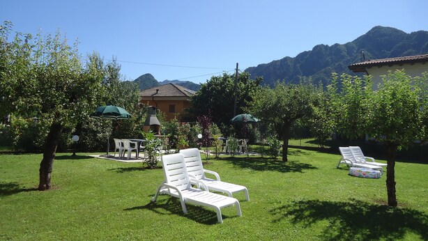 Un espace extérieur verdoyant avec des chaises longues blanches, une petite table et des parasols.