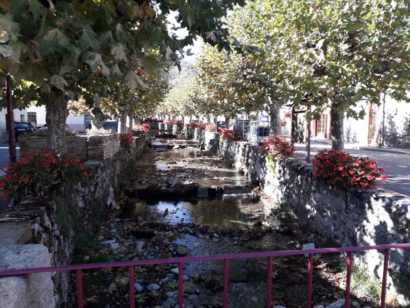 Property grounds - AUZAT: close to multi activities, hiking (Auzat)