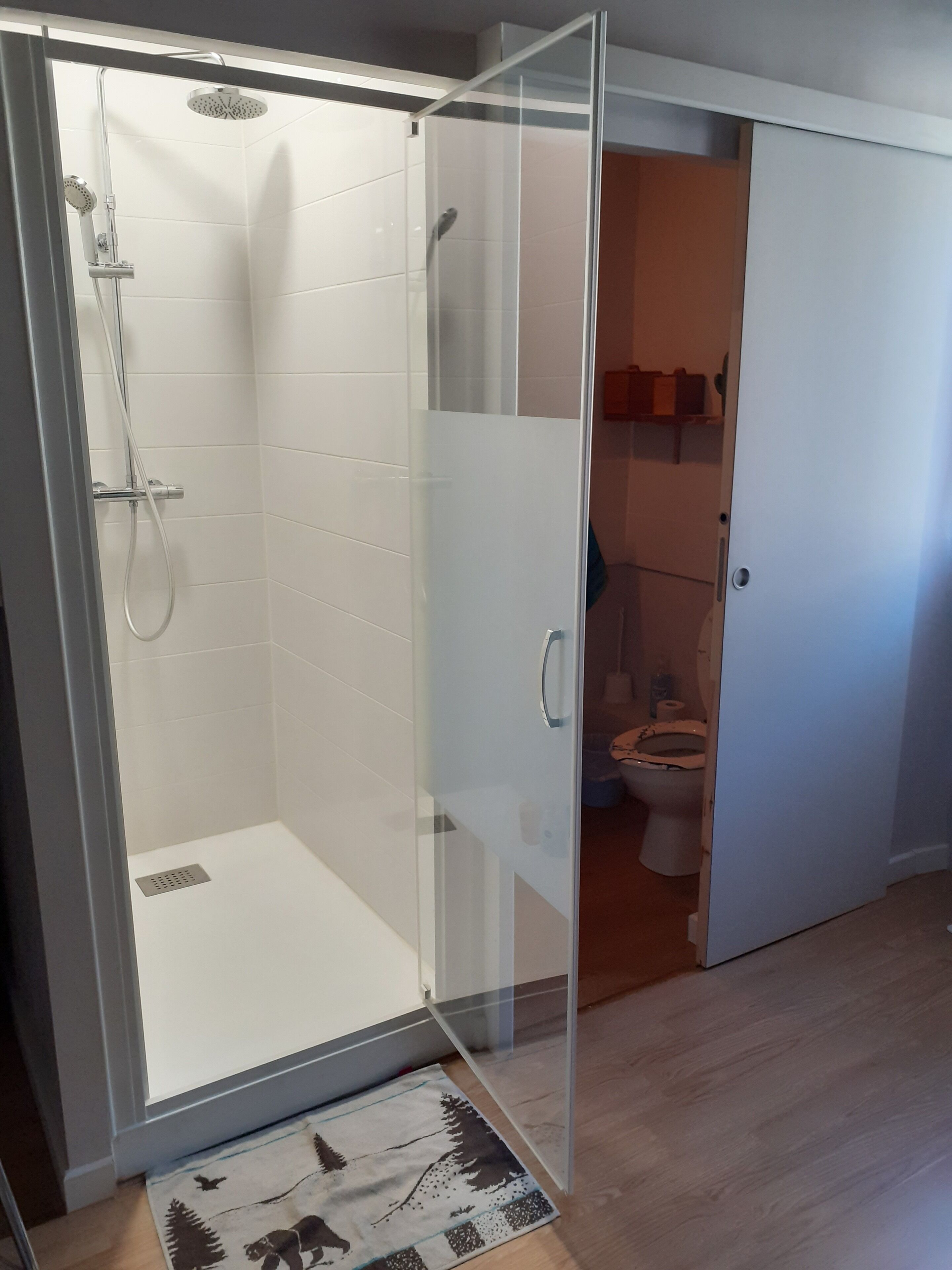 Shower, hair dryer, toilet paper