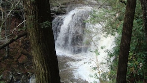 A waterfall in a forested area. - Best Deal in Almost Heaven!! (Snowshoe)